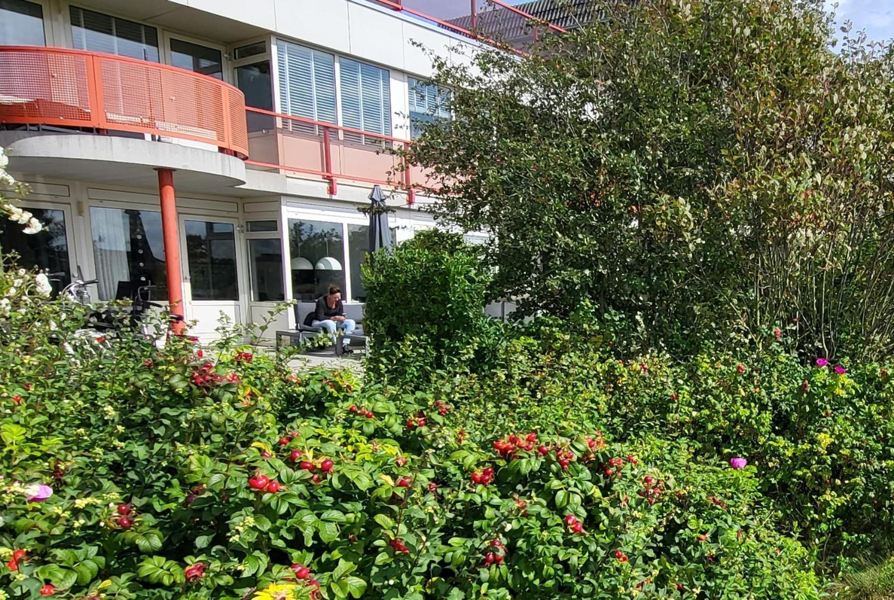 Duinzicht, Amelander Paradijs, Zonnig 6 Persoons Appartement Met Groot Terras Op De Begane Grond, Vrij Uitzicht, Upgrade 2024 뷔런 외부 사진