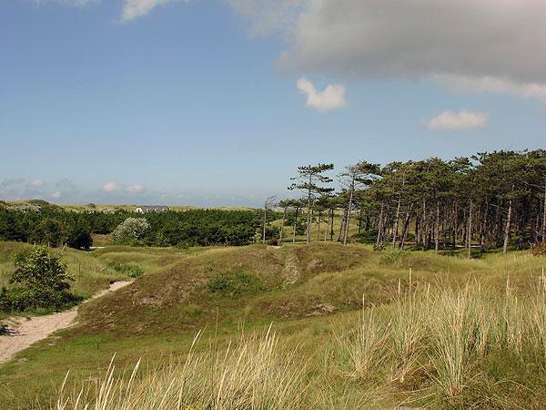 Duinzicht, Amelander Paradijs, Zonnig 6 Persoons Appartement Met Groot Terras Op De Begane Grond, Vrij Uitzicht, Upgrade 2024 뷔런 외부 사진